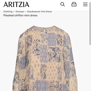 ARITZIA Daydreamer Mini Dress